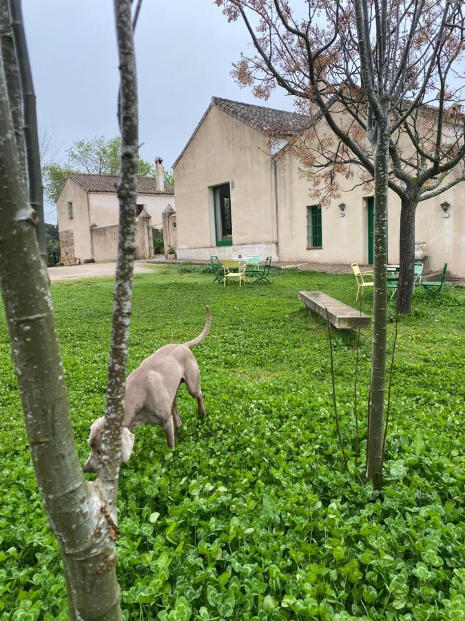 Casa Rural El Vihuelo Ель-Боске Екстер'єр фото