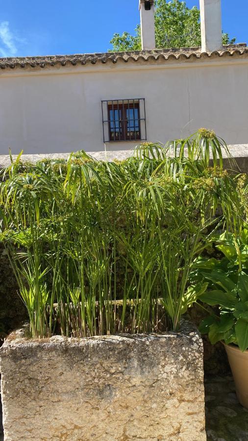 Casa Rural El Vihuelo Ель-Боске Екстер'єр фото